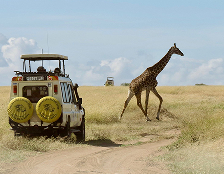 6-days-maasai-mara-lake-nakuru-amboseli-safari